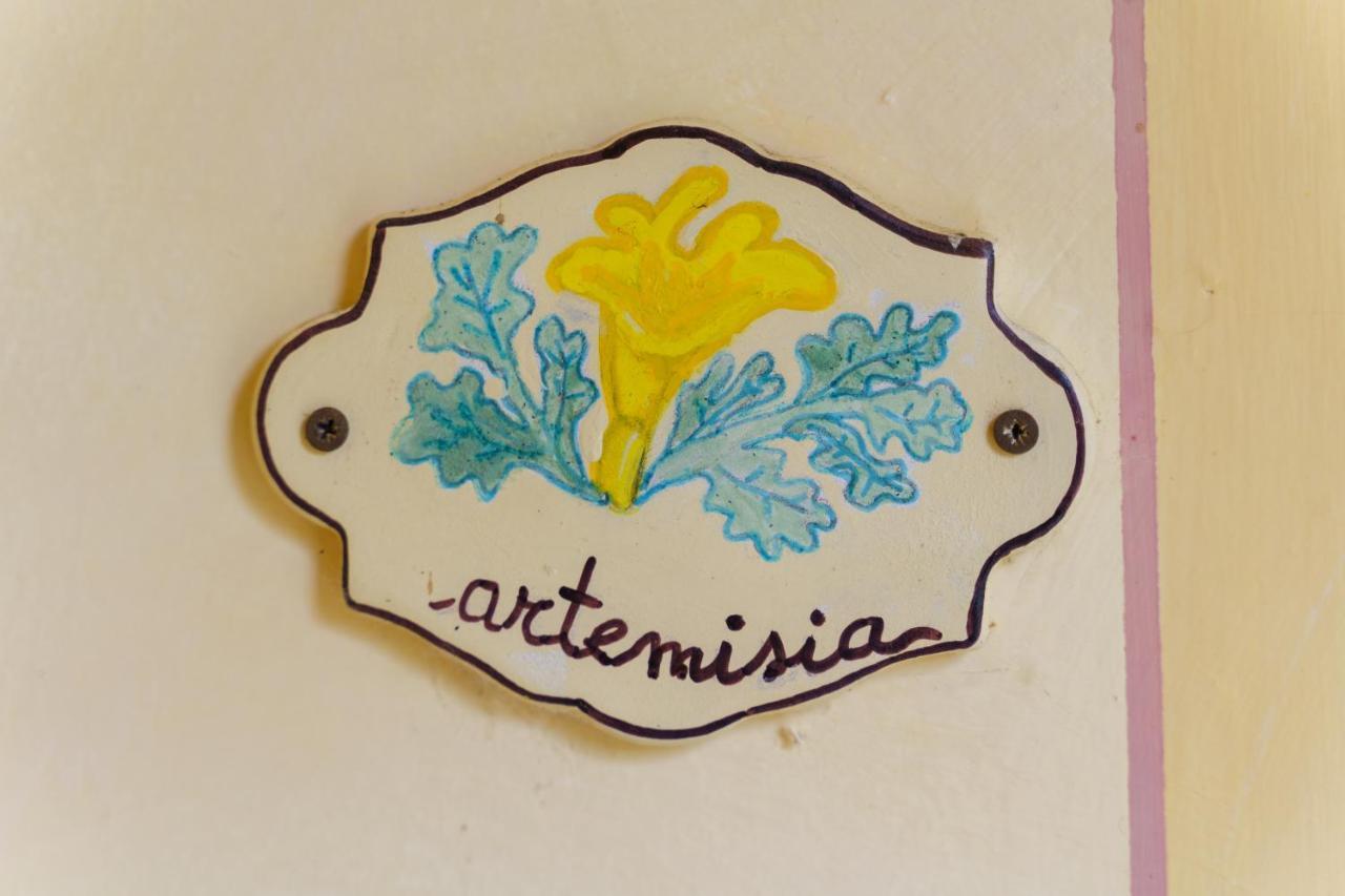 Agriturismo Ca'Mazzetto Valfabbrica Exteriér fotografie